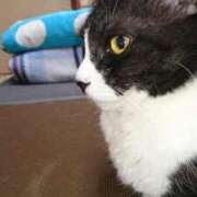 ヒメ日記 2025/08/24 02:22 投稿 ゆき 人妻美人館