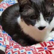 ヒメ日記 2025/09/02 02:39 投稿 ゆき 人妻美人館