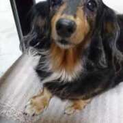 ヒメ日記 2025/09/03 02:37 投稿 ゆき 人妻美人館