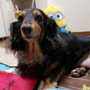 ヒメ日記 2025/09/22 18:52 投稿 ゆき 人妻美人館