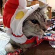 ヒメ日記 2025/09/23 13:18 投稿 ゆき 人妻美人館