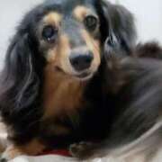 ヒメ日記 2025/10/12 02:40 投稿 ゆき 人妻美人館