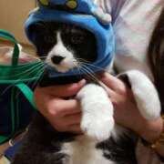 ヒメ日記 2025/11/01 16:55 投稿 ゆき 人妻美人館