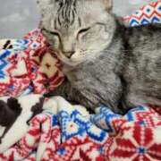 ゆき 早退します 人妻美人館