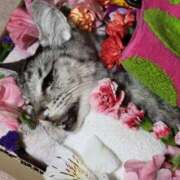 ヒメ日記 2025/12/18 20:11 投稿 ゆき 人妻美人館