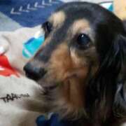 ヒメ日記 2025/12/23 06:54 投稿 ゆき 人妻美人館