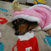 ヒメ日記 2025/12/25 17:25 投稿 ゆき 人妻美人館