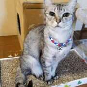 ヒメ日記 2026/01/11 05:07 投稿 ゆき 人妻美人館