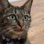 ヒメ日記 2026/01/16 00:02 投稿 ゆき 人妻美人館