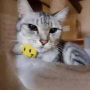 ヒメ日記 2026/03/07 18:38 投稿 ゆき 人妻美人館