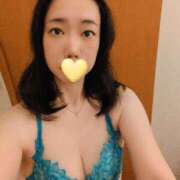 ヒメ日記 2025/11/14 14:17 投稿 みいな ミセスサマンサ