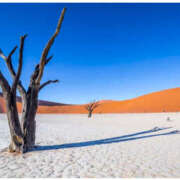 ヒメ日記 2025/11/26 18:00 投稿 みほ 花影（かえい）