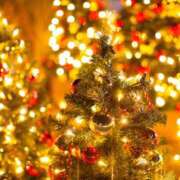 ヒメ日記 2025/11/29 23:00 投稿 みほ 花影（かえい）