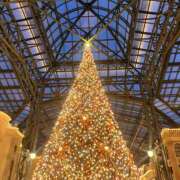 ヒメ日記 2025/12/14 23:00 投稿 みほ 花影（かえい）