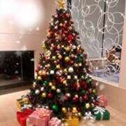 ヒメ日記 2025/12/21 23:00 投稿 みほ 花影（かえい）