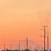 ヒメ日記 2026/01/04 20:37 投稿 みほ 花影（かえい）