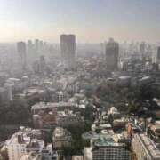 ヒメ日記 2026/02/17 20:13 投稿 みほ 花影（かえい）