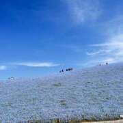ヒメ日記 2026/04/25 19:23 投稿 みほ 花影（かえい）