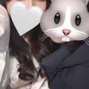 ヒメ日記 2026/02/11 10:23 投稿 ほの 無敵YOKOHAMA