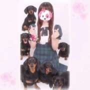 ヒメ日記 2025/12/07 19:33 投稿 みずき Secret　select