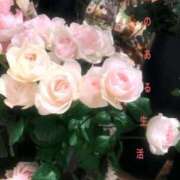 ヒメ日記 2025/11/27 01:13 投稿 真壁(まかべ) 人妻出逢い会 百合の園 池袋店