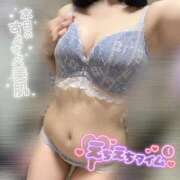 ヒメ日記 2025/12/14 11:00 投稿 のどか My Essentials