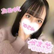 のどか ねこの日🐱🐾 My Essentials