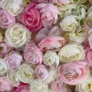 れん　初々しさ余る18歳♡ お知らせ⋆͛📢⋆ AROMA FACE NAKASU