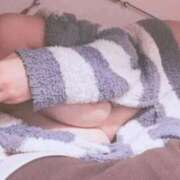 ヒメ日記 2025/11/27 15:50 投稿 ひびき 石庭