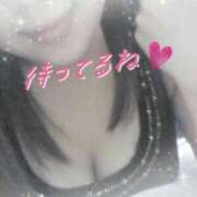 ヒメ日記 2025/11/28 11:31 投稿 ひびき 石庭