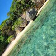 ヒメ日記 2025/11/28 13:20 投稿 ひびき 石庭