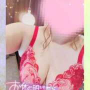 ヒメ日記 2025/11/25 20:18 投稿 坂上かほ 月の真珠-新宿-