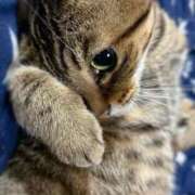 ヒメ日記 2026/01/12 23:39 投稿 莉音-りおん【FG系列】 ほんつま 沼津店 (FG系列)