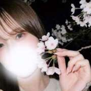 ヒメ日記 2026/04/05 00:42 投稿 莉音-りおん【FG系列】 ほんつま 沼津店 (FG系列)