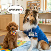 ふぶき 出勤13日目・3/24(火)京橋駅H様 奥鉄オクテツ兵庫