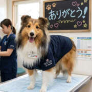 ふぶき 出勤14日目・3/25(水)なんば駅Y様 奥鉄オクテツ兵庫
