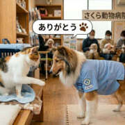 ヒメ日記 2026/04/18 23:34 投稿 ふぶき 奥鉄オクテツ兵庫