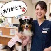 ふぶき 出勤29日目・8/20(木)伊川谷駅T様 奥鉄オクテツ兵庫