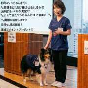 ふぶき 〜お利口ワンちゃん彼氏♡〜 奥鉄オクテツ兵庫