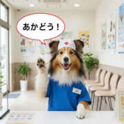 ヒメ日記 2025/12/18 20:18 投稿 ふぶき 奥鉄オクテツ奈良