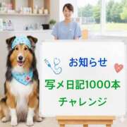 ヒメ日記 2026/01/12 14:19 投稿 ふぶき 奥鉄オクテツ奈良