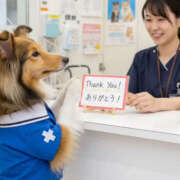 ヒメ日記 2026/01/27 05:30 投稿 ふぶき 奥鉄オクテツ奈良