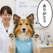 ヒメ日記 2026/02/19 15:33 投稿 ふぶき 奥鉄オクテツ奈良