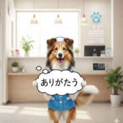 ヒメ日記 2026/03/16 02:02 投稿 ふぶき 奥鉄オクテツ奈良