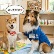 ヒメ日記 2026/03/25 00:34 投稿 ふぶき 奥鉄オクテツ奈良