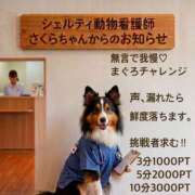 ヒメ日記 2026/07/25 01:21 投稿 ふぶき 奥鉄オクテツ奈良