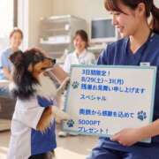 ふぶき 残暑お見舞い申し上げますスペシャル 奥鉄オクテツ奈良