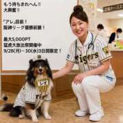 ふぶき 阪神リーグ優勝祈願！猛虎大放出祭 奥鉄オクテツ奈良