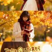 ヒメ日記 2025/11/17 11:21 投稿 けい 千葉人妻花壇