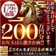 ヒメ日記 2026/01/02 07:18 投稿 けい 千葉人妻花壇